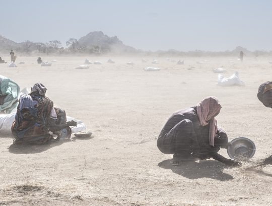 Some 50 IDP’s are paid to recover maize spilt when 50kg sacks burst during relief airdrops at Julud airstrip. They work in 40 degree heat and vicious sandstorms desperately trying to save every last grain. On 24th Dec 2024 the Famine Review Committee declared famine in the Western Nuba Mountains, Sudan, as a result of the ongoing conflict. Currently the situation is in abeyance while the harvest is consumed. Conditions are expected to rapidly deteriorate in the next 2-3 months.